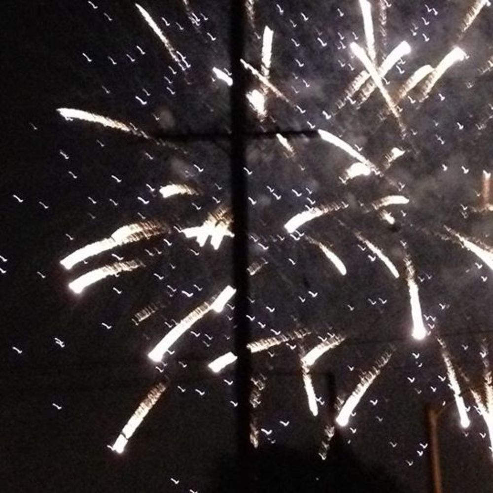 Meet your Posher, Emilia